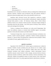 Transporto logistika: UAB "Transvelas" 7 puslapis