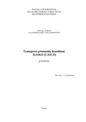 Transporto priemonių draudimas KASKO (CASCO)