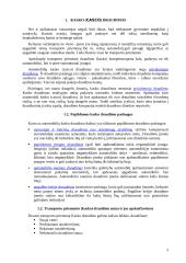 Transporto priemonių draudimas KASKO (CASCO) 3 puslapis