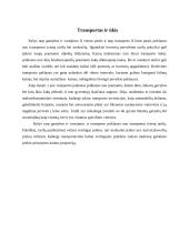 Transporto sektoriaus veiklos poveikis kitų ūkio šakų funkcionavimui 4 puslapis