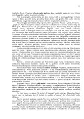 Bendros žinios apie Tunisą 13 puslapis