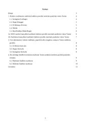 Tuniso antikinis kultūros paveldas 2 puslapis