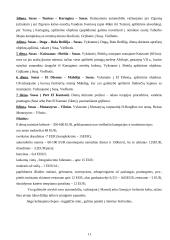 Tuniso antikinis kultūros paveldas 11 puslapis