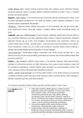 Tuniso antikinis kultūros paveldas 7 puslapis