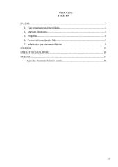 Turas po Norvegiją 2 puslapis