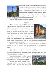 Turas po Norvegiją 13 puslapis