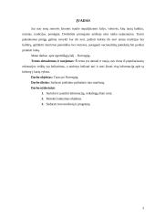 Turas po Norvegiją 3 puslapis