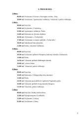 Turas po Norvegiją 6 puslapis