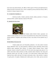 Turas po Utenos rajoną 9 puslapis