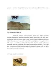 Turas po Utenos rajoną 10 puslapis