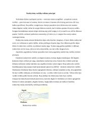 Turboreaktyvinio variklio sukūrimas 3 puslapis