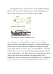 Turboreaktyvinio variklio sukūrimas 4 puslapis