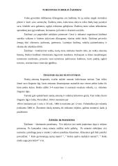 Turistiniai judrieji žaidimai 2 puslapis