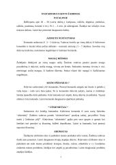 Turistiniai judrieji žaidimai 3 puslapis