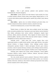 Turistinio žygio organizavimas 3 puslapis