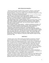 Turistinis maršrutas į Žemaitiją 3 puslapis