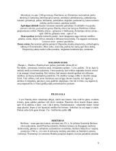 Turistinis maršrutas į Žemaitiją 9 puslapis