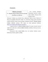 Turistinis maršrutas po Alytaus rajoną 13 puslapis