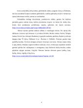 Turistinis maršrutas po Alytaus rajoną 5 puslapis