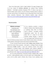 Turistinis maršrutas po Alytaus rajoną 9 puslapis