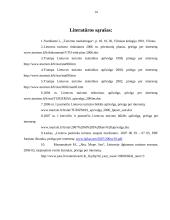 Bendrasis turizmo poveikis Lietuvos ekonomikai 14 puslapis