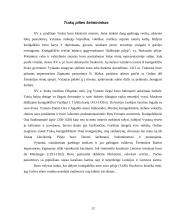 Turizmo įtaka Trakuose 11 puslapis