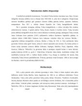 Turizmo įtaka Trakuose 12 puslapis