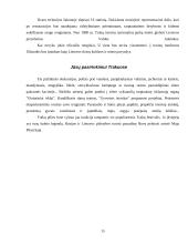 Turizmo įtaka Trakuose 14 puslapis