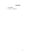 Turizmo įtaka Trakuose 15 puslapis