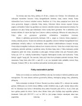 Turizmo įtaka Trakuose 3 puslapis