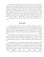 Turizmo įtaka Trakuose 4 puslapis