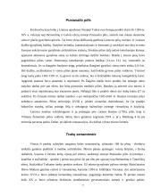 Turizmo įtaka Trakuose 6 puslapis