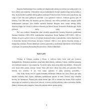 Turizmo įtaka Trakuose 8 puslapis