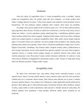 Turizmo įtaka Trakuose 9 puslapis