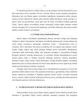 Turizmo rinkodara ir įvaizdžio formavimas: pajūrio regionas 12 puslapis