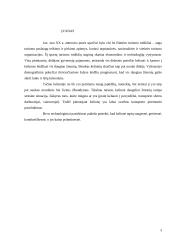 Turizmo transporto analizė su pasiūlymu 2 puslapis