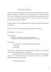 Turizmo transporto analizė su pasiūlymu 3 puslapis