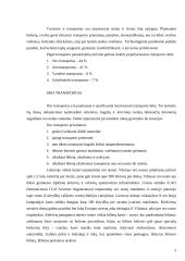 Turizmo transporto analizė su pasiūlymu 4 puslapis
