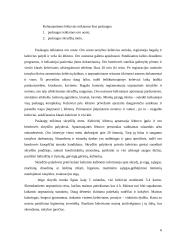 Turizmo transporto analizė su pasiūlymu 5 puslapis