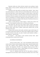 Turizmo transporto analizė su pasiūlymu 6 puslapis