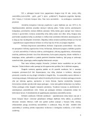 Turizmo transporto analizė su pasiūlymu 8 puslapis