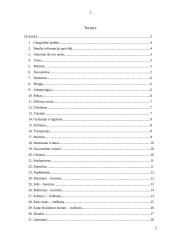 Turkija per turizmo prizmę 2 puslapis