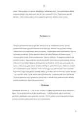 Turkija per turizmo prizmę 11 puslapis