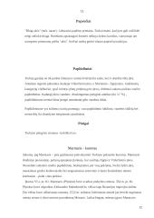 Turkija per turizmo prizmę 12 puslapis