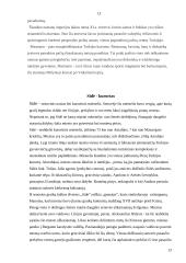 Turkija per turizmo prizmę 13 puslapis