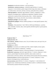 Turkija per turizmo prizmę 15 puslapis