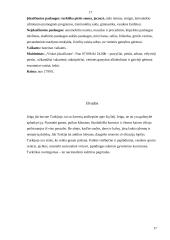 Turkija per turizmo prizmę 17 puslapis