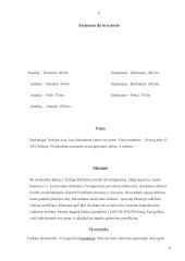 Turkija per turizmo prizmę 5 puslapis