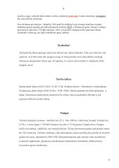 Turkija per turizmo prizmę 6 puslapis