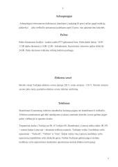 Turkija per turizmo prizmę 7 puslapis